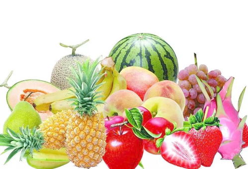 广州保鲜冷库安装公司,为番禺加工厂提供小型水果冷库安装方案