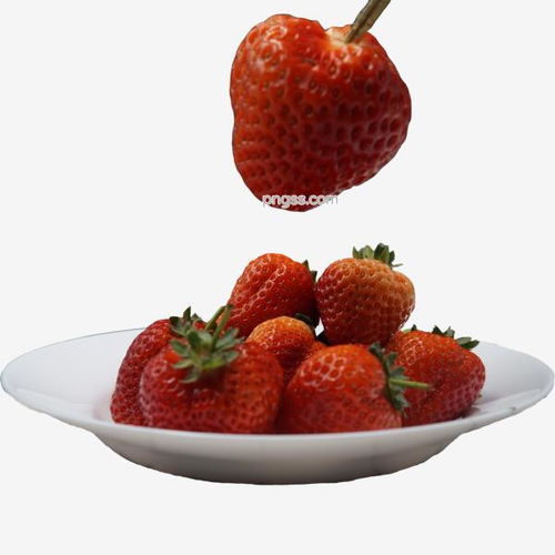 一盘红色的新鲜草莓图片大小2000x2000px 图片尺寸2 mb 来自png搜索网 pngss.com 免费免扣png素材下载 草莓 果子 美食 美味 食品 食物 蔬菜 蔬菜水果 水果 水果蔬菜 素食 新鲜 新鲜草莓